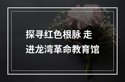 探寻红色根脉 走进龙湾革命教育馆