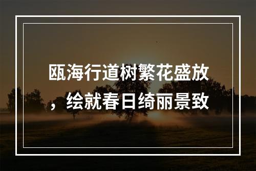 瓯海行道树繁花盛放，绘就春日绮丽景致