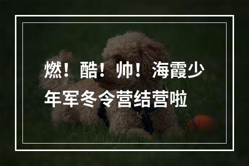 燃！酷！帅！海霞少年军冬令营结营啦