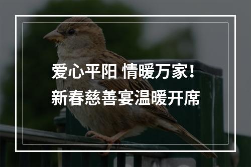 爱心平阳 情暖万家！新春慈善宴温暖开席