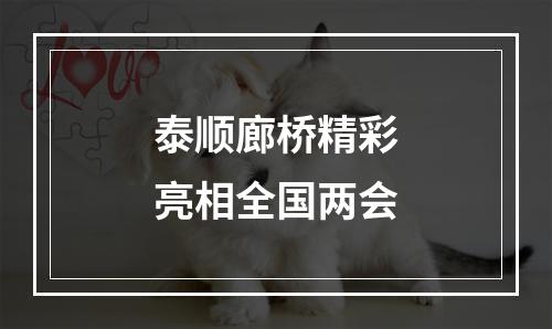 泰顺廊桥精彩亮相全国两会