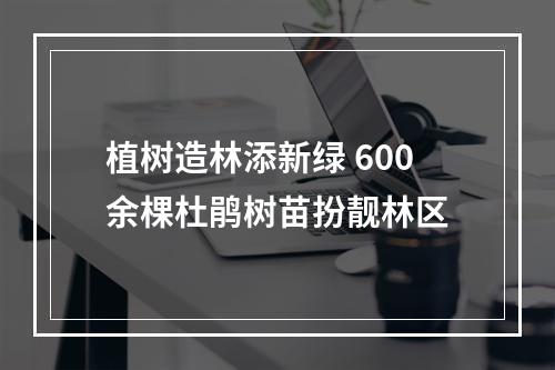 植树造林添新绿 600余棵杜鹃树苗扮靓林区