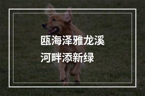 瓯海泽雅龙溪河畔添新绿