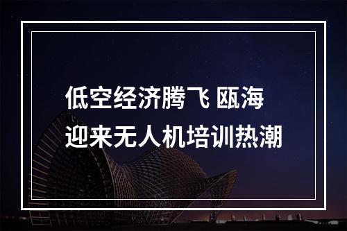 低空经济腾飞 瓯海迎来无人机培训热潮