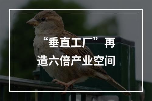 “垂直工厂”再造六倍产业空间