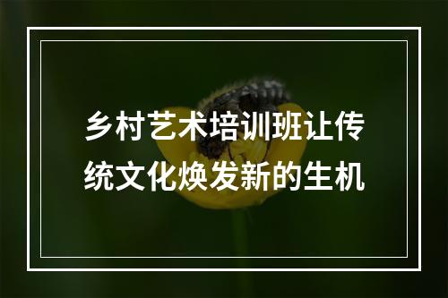 乡村艺术培训班让传统文化焕发新的生机