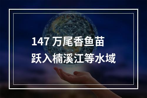 147 万尾香鱼苗跃入楠溪江等水域