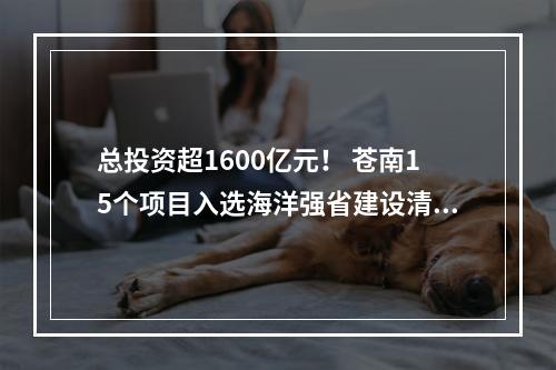 总投资超1600亿元！ 苍南15个项目入选海洋强省建设清单
