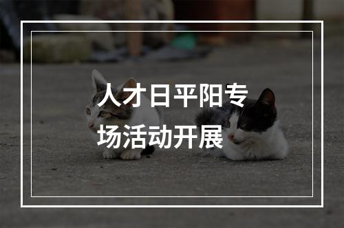 人才日平阳专场活动开展