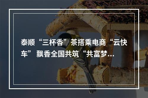 泰顺“三杯香”茶搭乘电商“云快车” 飘香全国共筑“共富梦”