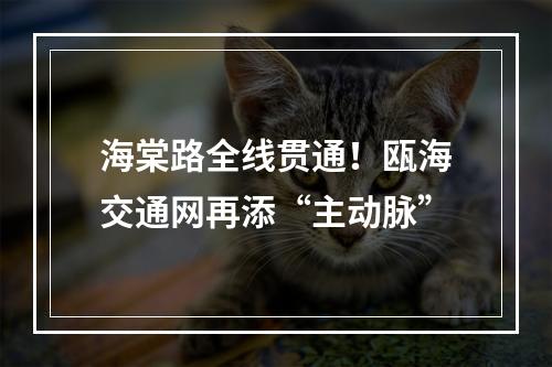 海棠路全线贯通！瓯海交通网再添“主动脉”