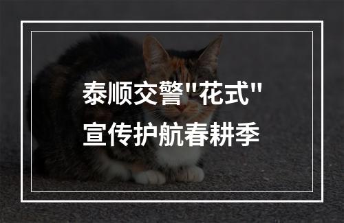 泰顺交警