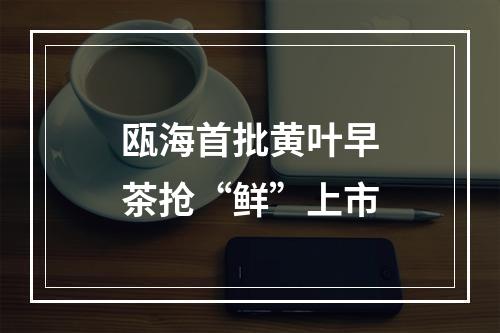 瓯海首批黄叶早茶抢“鲜”上市