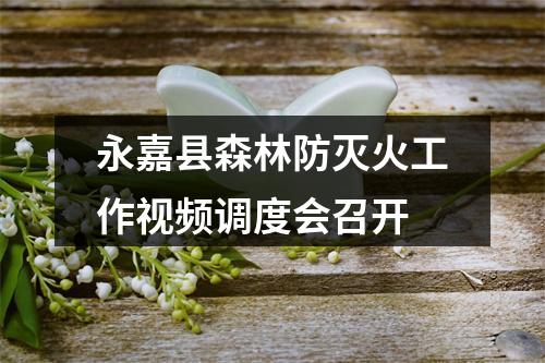 永嘉县森林防灭火工作视频调度会召开