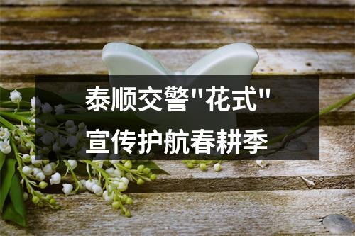 泰顺交警
