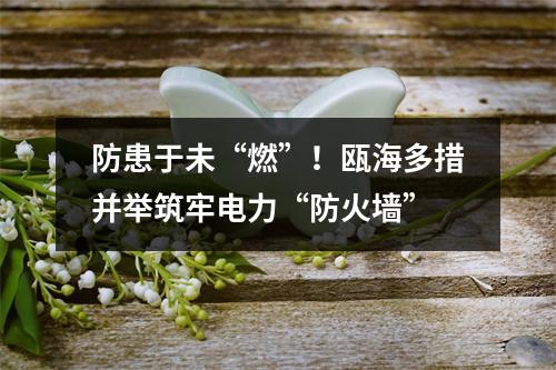 防患于未“燃”！瓯海多措并举筑牢电力“防火墙”