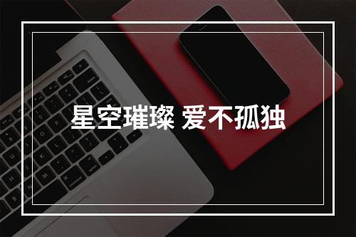 星空璀璨 爱不孤独