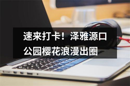 速来打卡！泽雅源口公园樱花浪漫出圈
