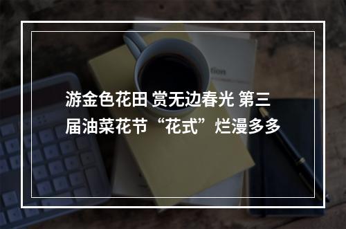 游金色花田 赏无边春光 第三届油菜花节“花式”烂漫多多