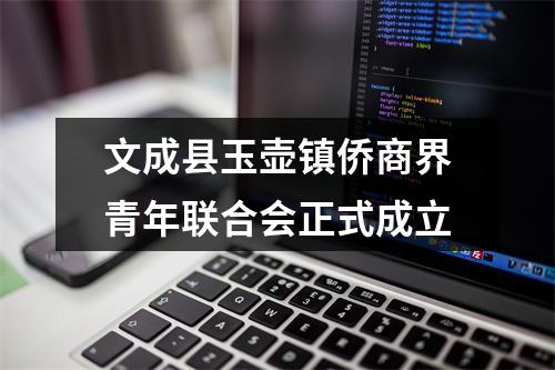 文成县玉壶镇侨商界青年联合会正式成立