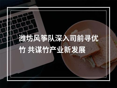 潍坊风筝队深入司前寻优竹 共谋竹产业新发展