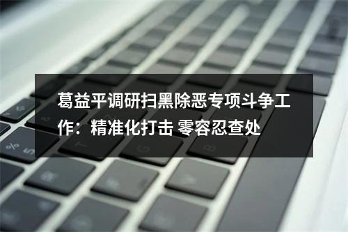 葛益平调研扫黑除恶专项斗争工作：精准化打击 零容忍查处