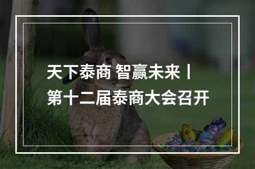 天下泰商 智赢未来丨第十二届泰商大会召开