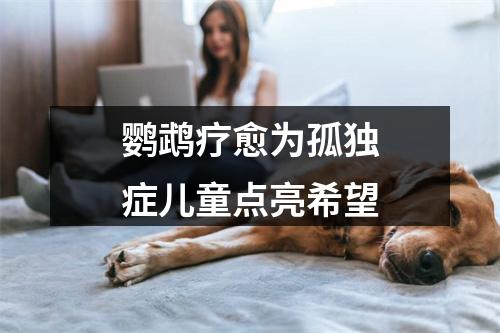 鹦鹉疗愈为孤独症儿童点亮希望
