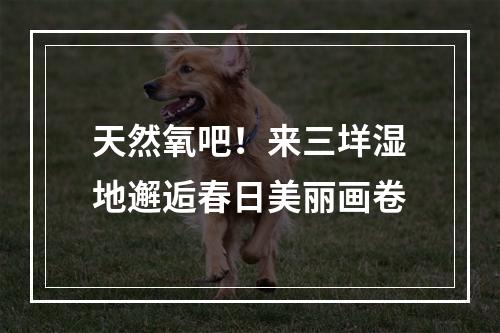 天然氧吧！来三垟湿地邂逅春日美丽画卷