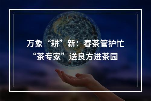 万象“耕”新：春茶管护忙 “茶专家”送良方进茶园