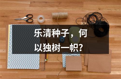乐清种子，何以独树一帜？