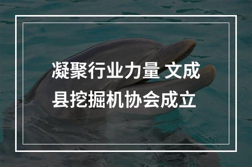 凝聚行业力量 文成县挖掘机协会成立