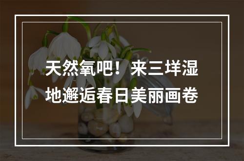 天然氧吧！来三垟湿地邂逅春日美丽画卷