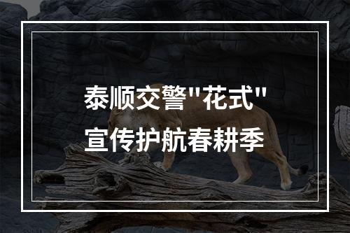 泰顺交警