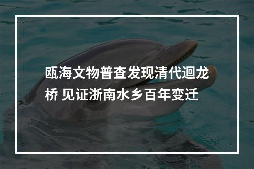 瓯海文物普查发现清代迴龙桥 见证浙南水乡百年变迁