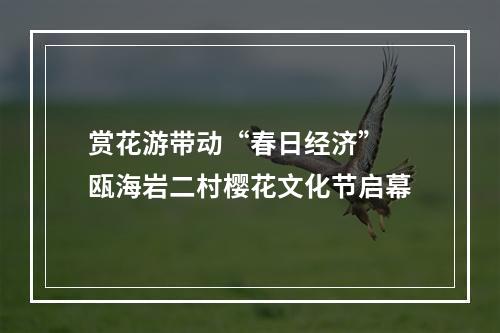 赏花游带动“春日经济” 瓯海岩二村樱花文化节启幕