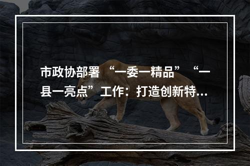 市政协部署 “一委一精品”“一县一亮点”工作：打造创新特色品牌 推进政协工作提质增效