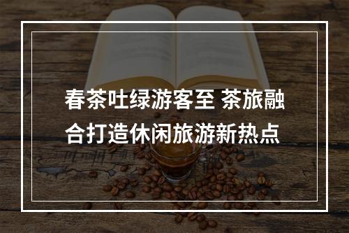 春茶吐绿游客至 茶旅融合打造休闲旅游新热点