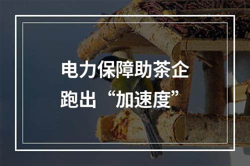 电力保障助茶企跑出“加速度”