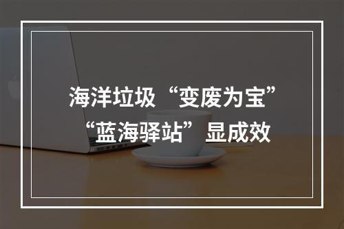 海洋垃圾“变废为宝” “蓝海驿站”显成效