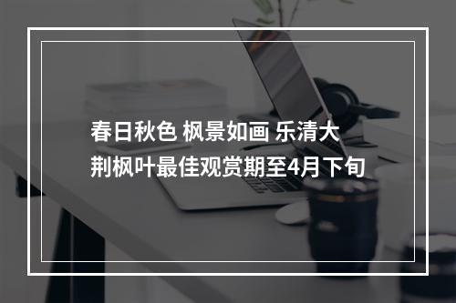 春日秋色 枫景如画 乐清大荆枫叶最佳观赏期至4月下旬