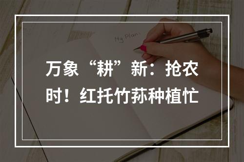 万象“耕”新：抢农时！红托竹荪种植忙