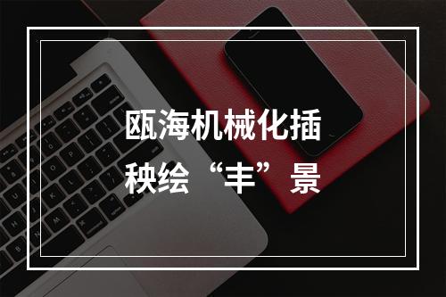 瓯海机械化插秧绘“丰”景