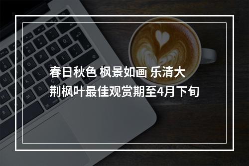春日秋色 枫景如画 乐清大荆枫叶最佳观赏期至4月下旬