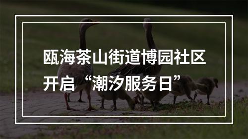 瓯海茶山街道博园社区开启“潮汐服务日”