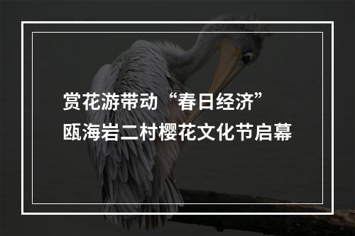 赏花游带动“春日经济” 瓯海岩二村樱花文化节启幕