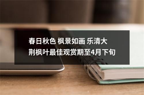 春日秋色 枫景如画 乐清大荆枫叶最佳观赏期至4月下旬