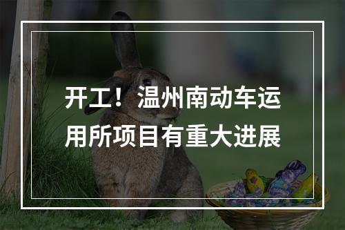 开工！温州南动车运用所项目有重大进展