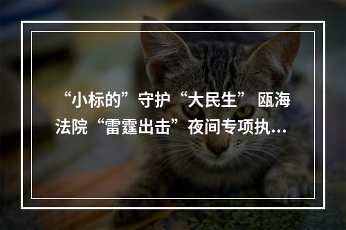 “小标的”守护“大民生” 瓯海法院“雷霆出击”夜间专项执行行动执行和解66余万元