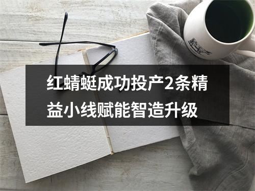 红蜻蜓成功投产2条精益小线赋能智造升级